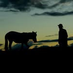 DANNY EWERT - @ngwwvubdlqbrrwse - Instagram