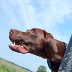 Danny falcone - @dannyfallcone - Instagram