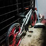 Danny Farish - @dannyfarish10 - Instagram
