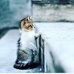 Danny Farish - @danny.farish.31 - Instagram