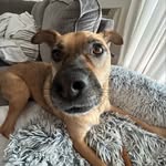 @danny_farranto - Instagram