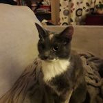 Danny Farrell - @dannyfarrell186 - Instagram