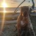 Dan Farrington - Facebook