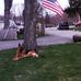 Danny Feinberg - Facebook
