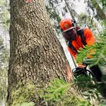 Daniel Šilha - @dannyforestwork - Instagram