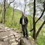 Danny Forest - @dan_ny_for_est - Instagram