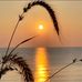 Danny K Forest - Facebook