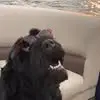 Danny Frederick - @danny.frederick5 - TikTok