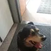 dannyfrederick672 - @dannyfrederick672 - TikTok