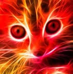 Danny Free - Facebook