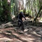 Danny Frey - @drfreyzoni - Instagram