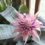 Danny Fullard - Facebook