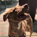 Danny Funk - @misterfunk11 - Instagram
