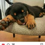 Danny Gabriel - @_freakydanny - Instagram