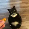 danny_gage20 - @danny_gage20 - TikTok