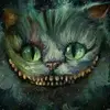 Danny Gage - @30263613409 - TikTok