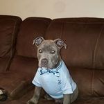 Danny Galloway - @minusstock - Instagram