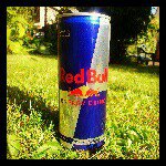 Danny Galloway - @redbullanimal - Instagram