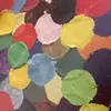 dann gallucci - @danngallucci - TikTok