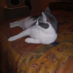 Danny Gamache - Facebook