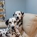 Danny Gamble - Facebook