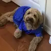 Dannyganny63 - @dannyganny63 - TikTok