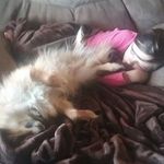Danny Garman - @garmandanny1 - Instagram