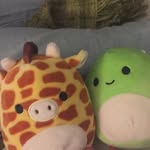 Hello5568 - @danny._.gary.6639 - Instagram