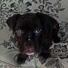 user6917342466872 - @danny.garymendo170987 - TikTok