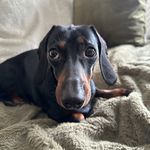 Danny Gaskin - @gaskin406 - Instagram