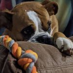 Danny Gaskins - @danny.gaskins.9028 - Instagram