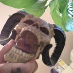 Danny Good - @dannygood578 - Instagram