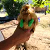 Danny - @oregonboy8888 - TikTok