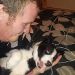 Danny Gotcher - @gotcherdanny - Instagram