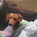 Danny Granger - Facebook