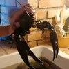 Danny Grassi - @dannygrassi3287 - TikTok