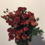 Danny_guo - @danny_guo5331 - Instagram