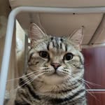 Danny Guo - @gshuangdan - Instagram