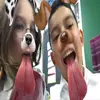 Danny Bustamante  - @dannyguy - TikTok