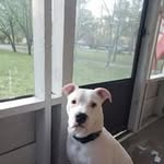 Danny Guyton - @guyton_danny - Instagram