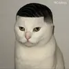 Danny guzman - @danny_the_bean15 - TikTok