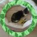 Danny Haase - Facebook