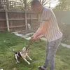 Danny Hamer - @dannydagz14 - TikTok