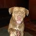 Danny Hammer - Facebook