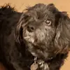 Dan Hamrick339 - @danhamrick1959 - TikTok