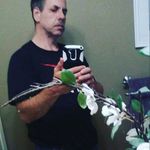 Danny Hanson - @danny.hanson.7731 - Instagram