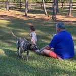 Danny Hanson - @auburndad1956 - Instagram