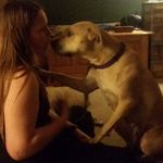 Danny Harbin - @lilydogtotherescue - Instagram