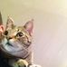 Dan Harbison - Facebook