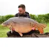Danny Hardwick - @dannyhardwick1 - TikTok